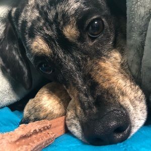 My love bugs🥰🥰